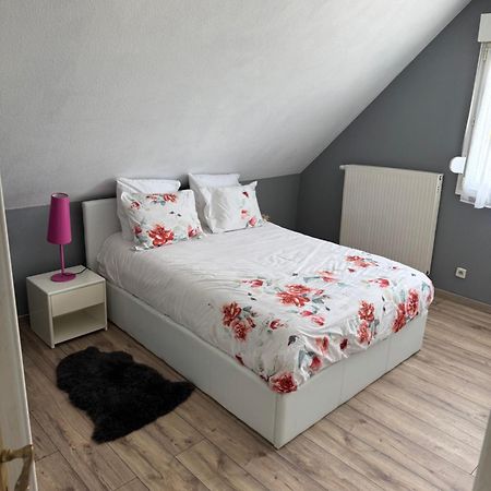 Au Petit Logelbach Apartamento Wintzenheim Exterior foto